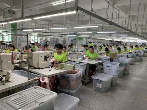 明星陳德容代言的內(nèi)衣加盟品牌閨秘內(nèi)衣有什么魅力